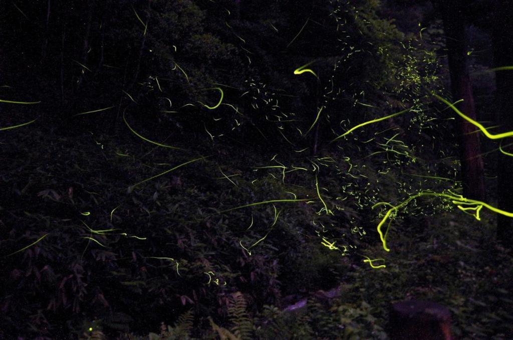 Hamamura Onsen Totoya Тоттори Экстерьер фото
